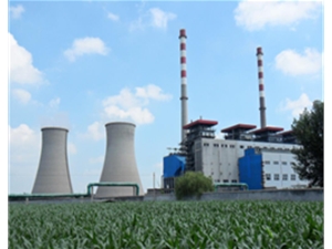 山東菏澤發(fā)電廠
